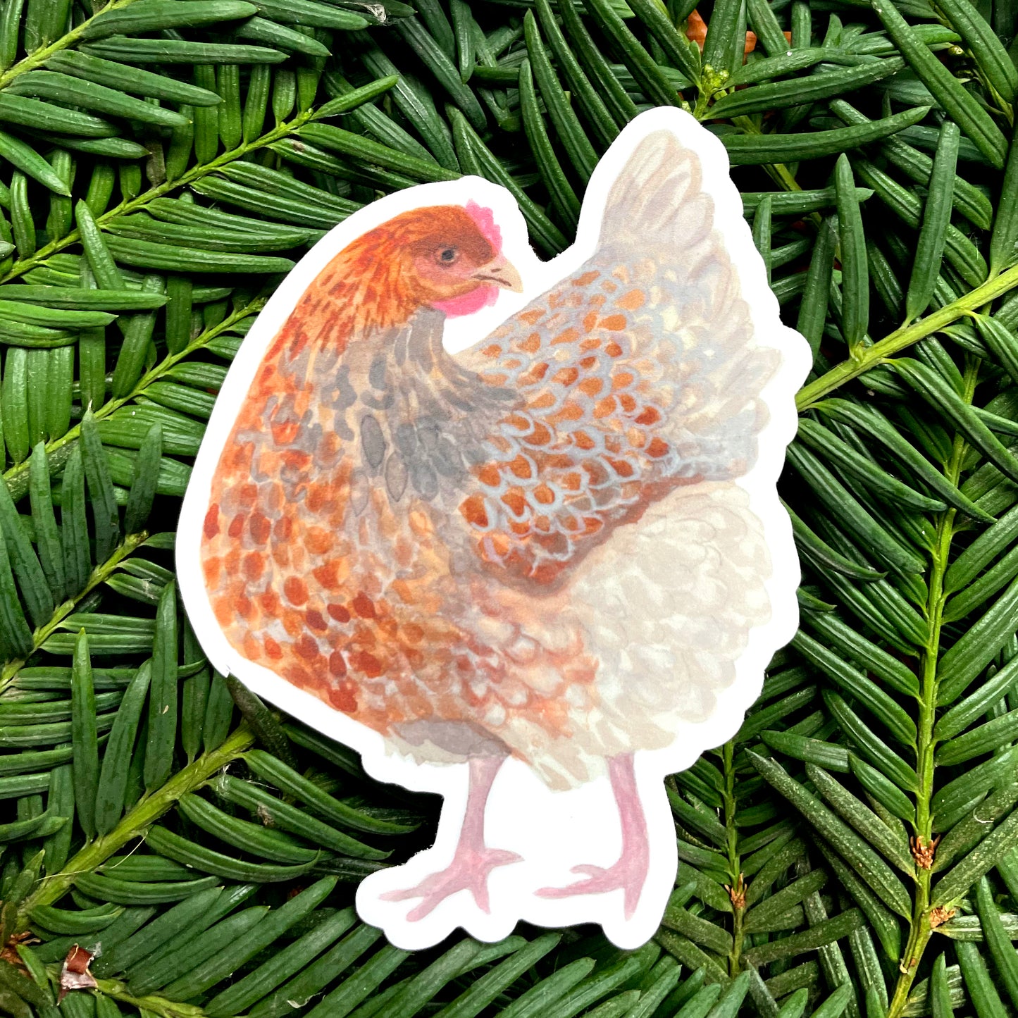 Hen Sticker