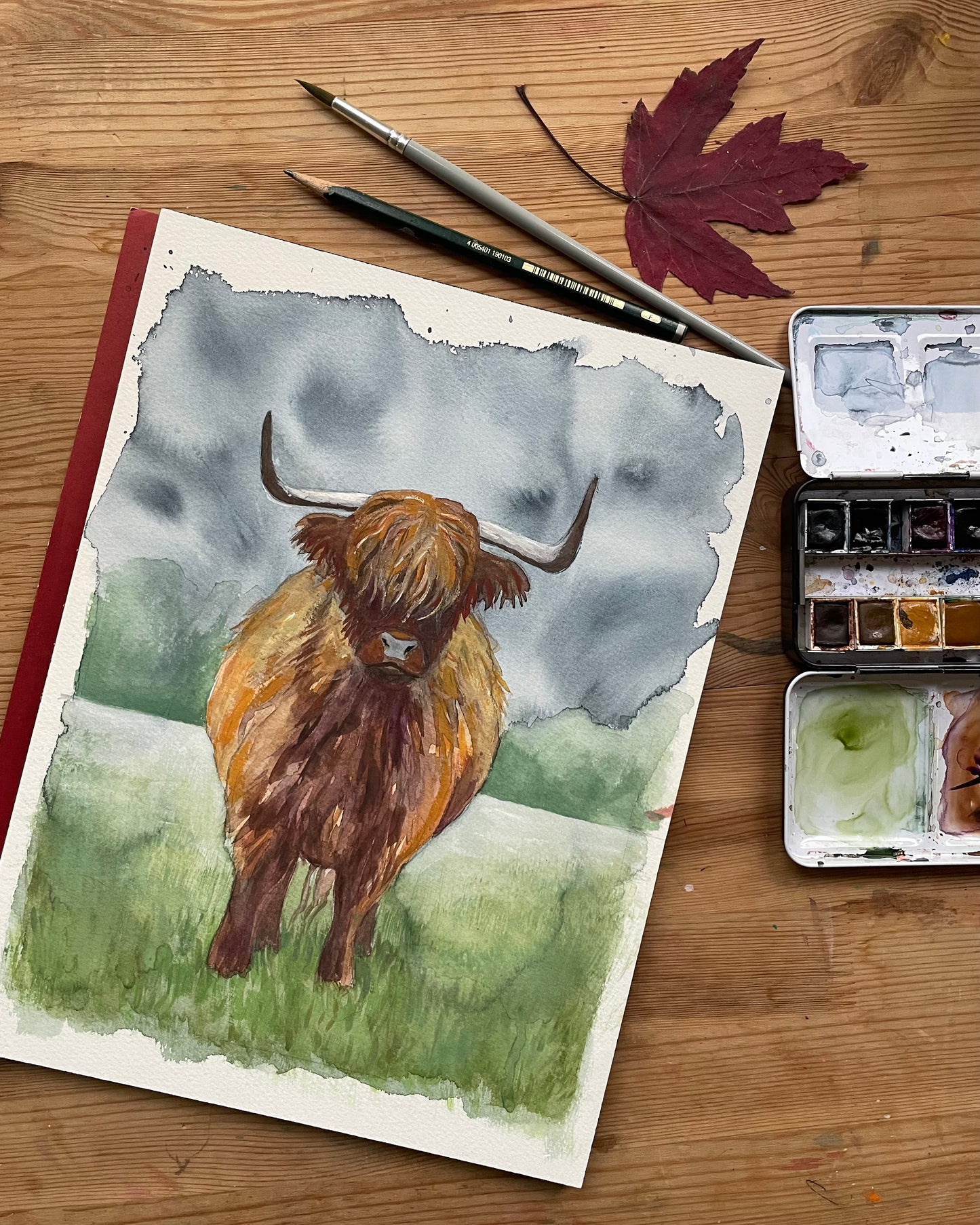 Highland Cattle | Original Painting