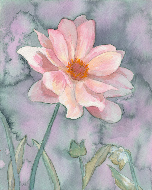 Dahlia (pink) | Original Painting