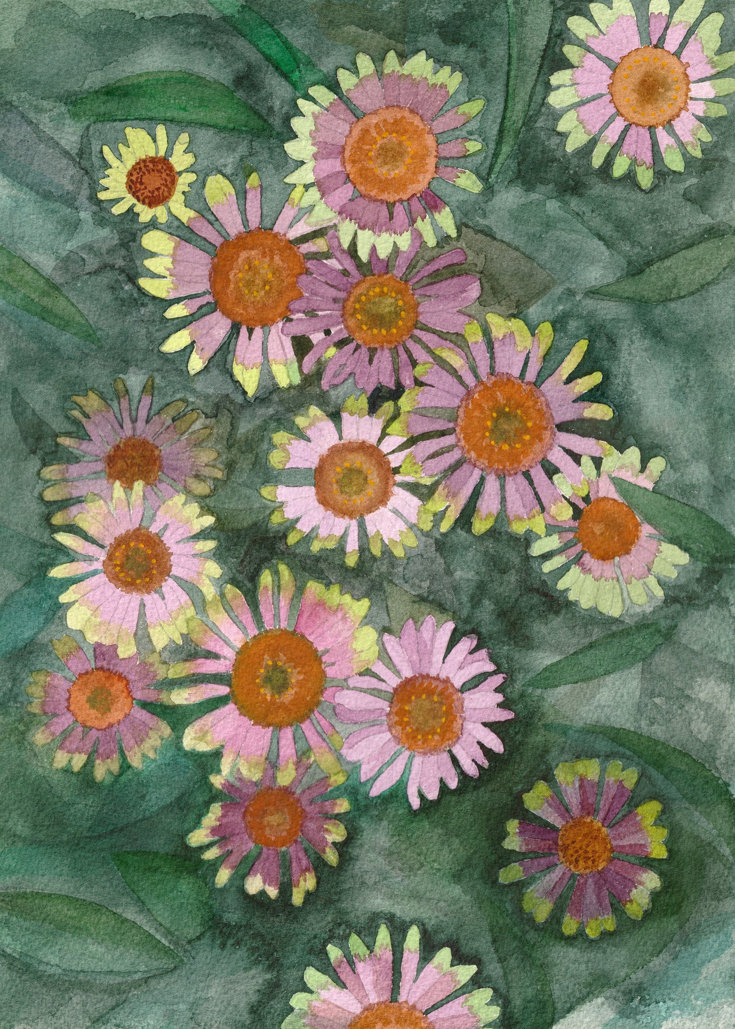 Echinacea | Original Painting