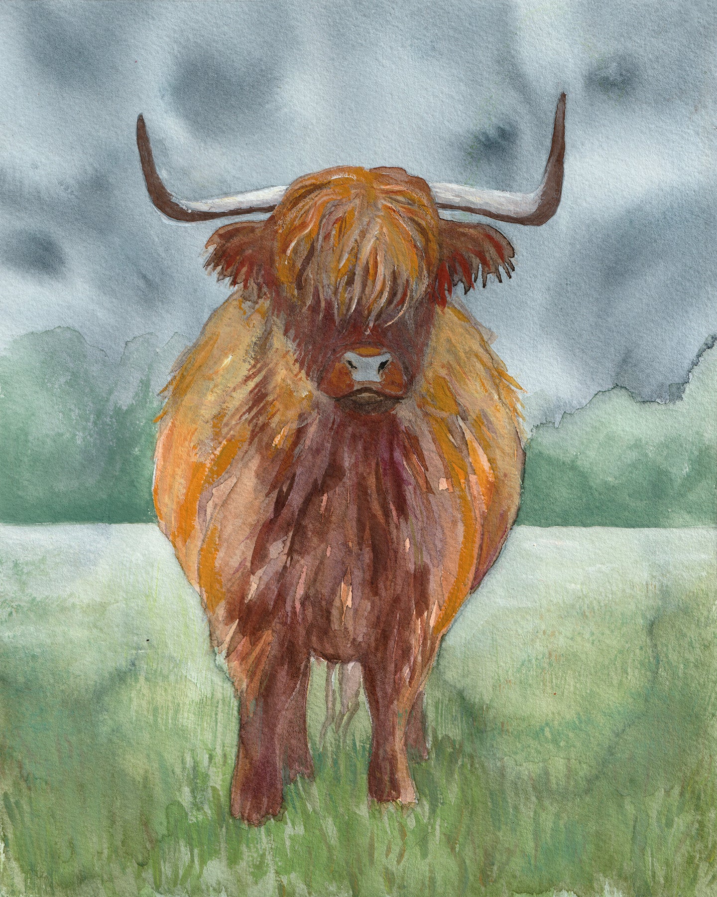 Highland Cattle | Original Painting