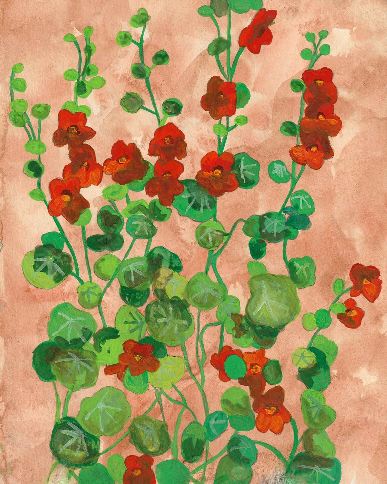 Nasturtiums | Archival Print
