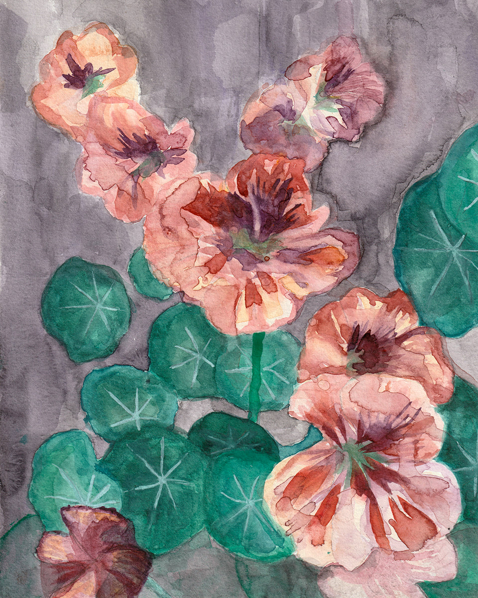 Nasturtiums (pink) | Original Painting