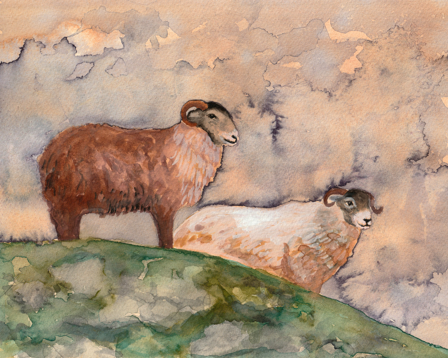 Mystical Sheep | Archival Print