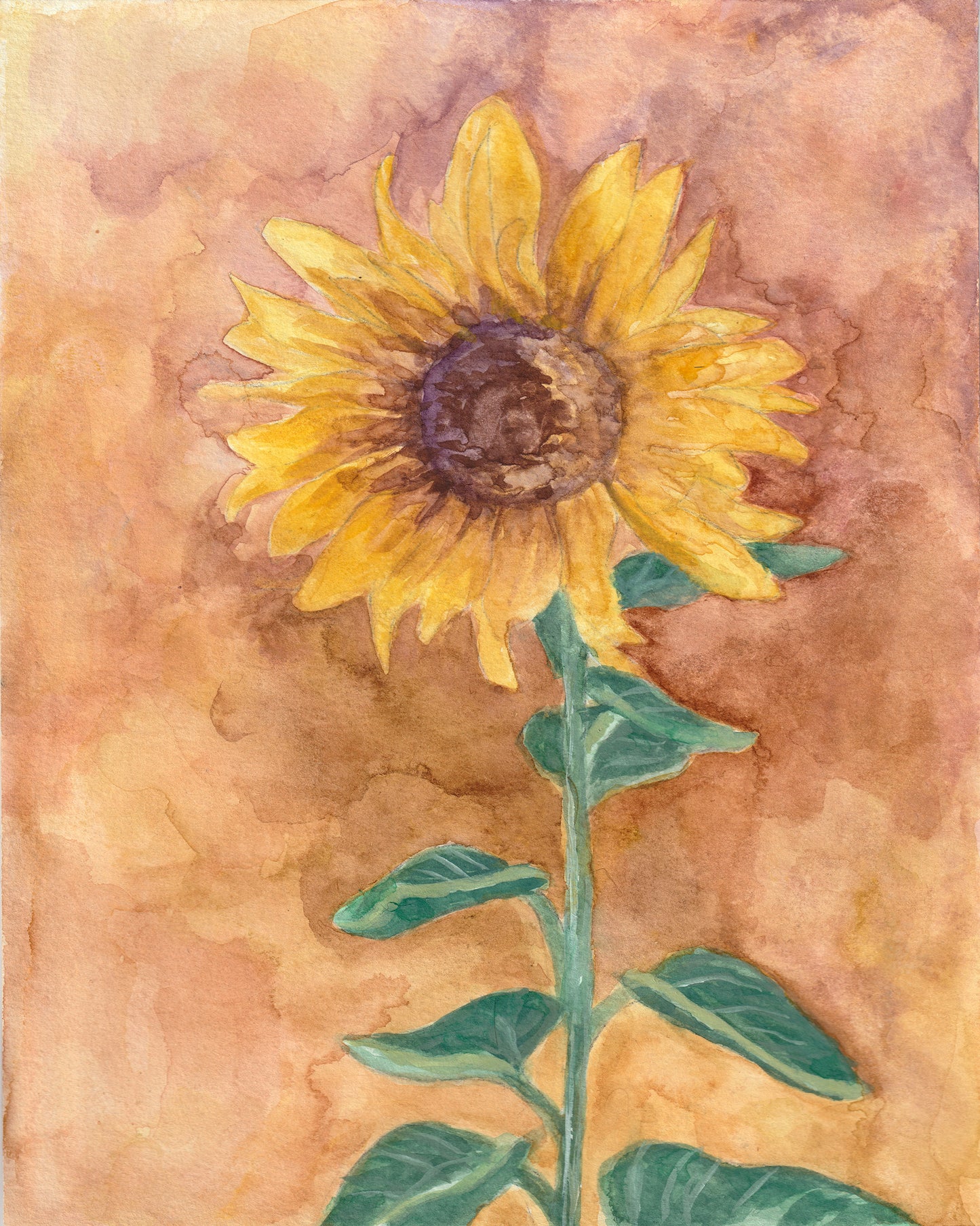 Sunflower (brown) | Archival Print