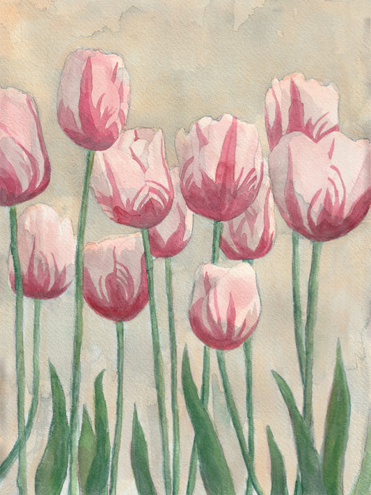 Striped Tulips | Original Painting