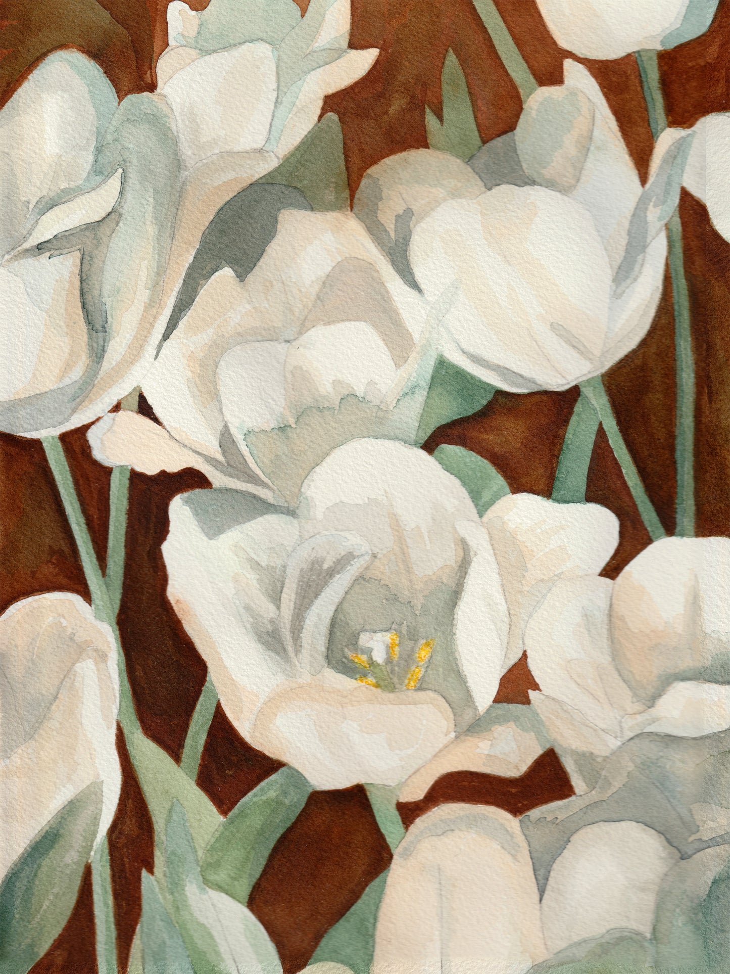White Tulips | Archival Print