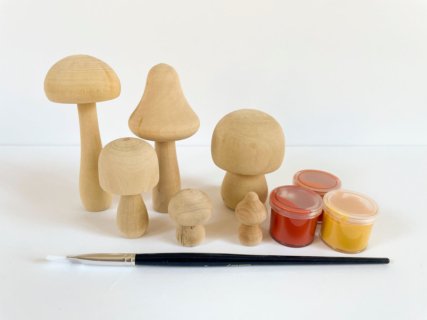 DIY Painted Mushroom Craft Kit