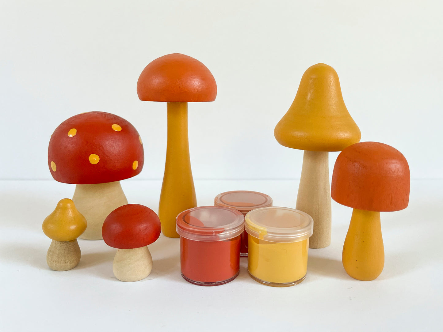 DIY Painted Mushroom Craft Kit