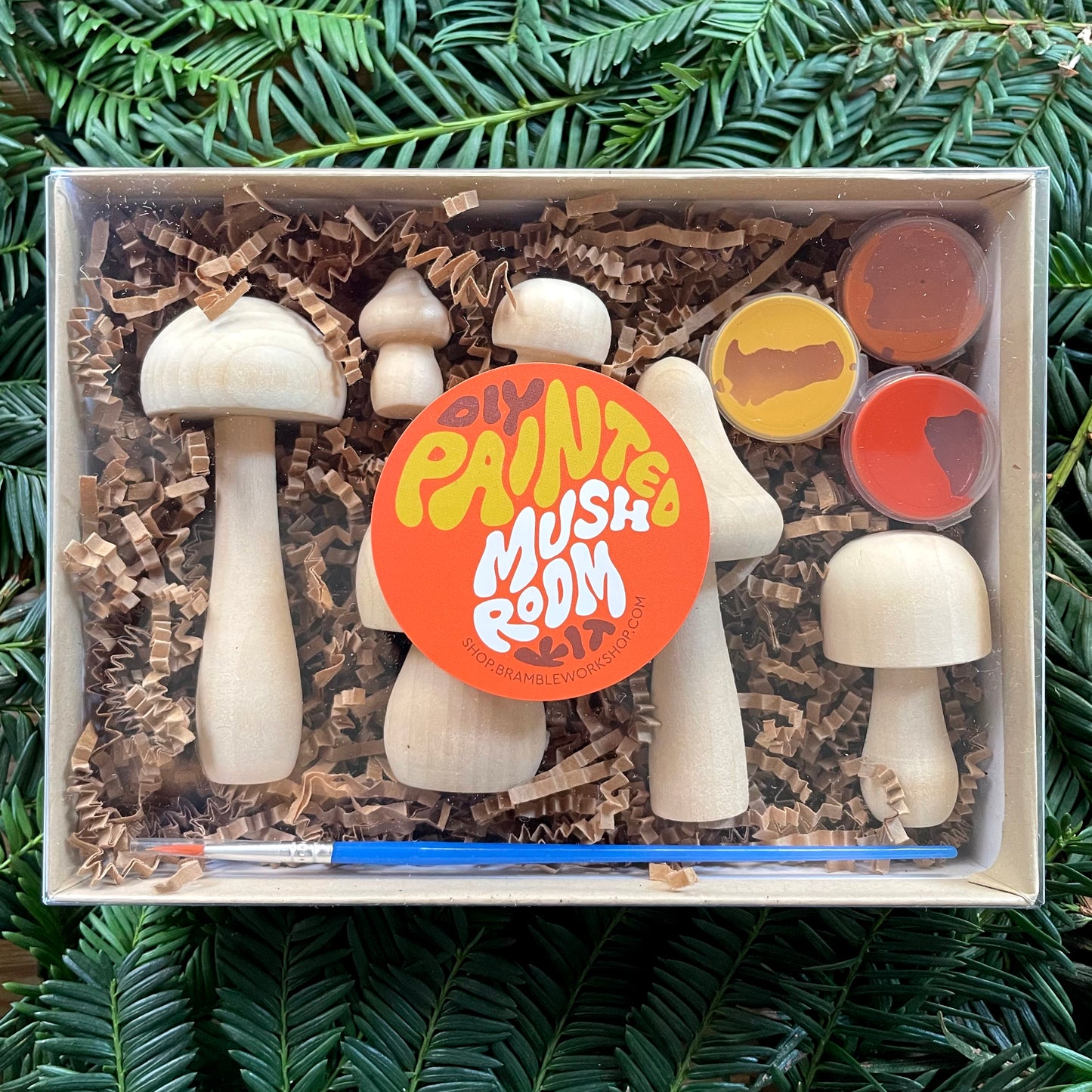 DIY Painted Mushroom Craft Kit