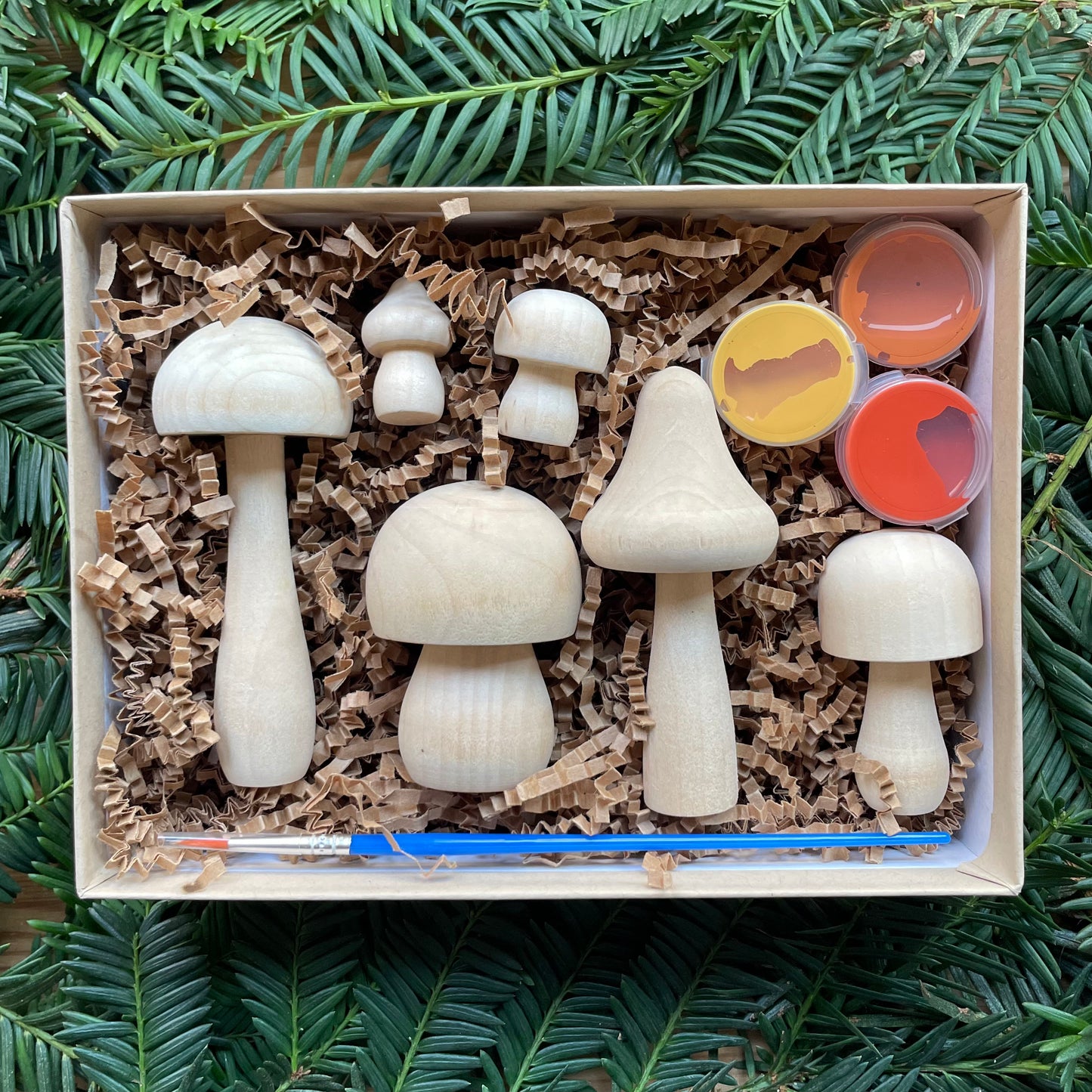 DIY Painted Mushroom Craft Kit