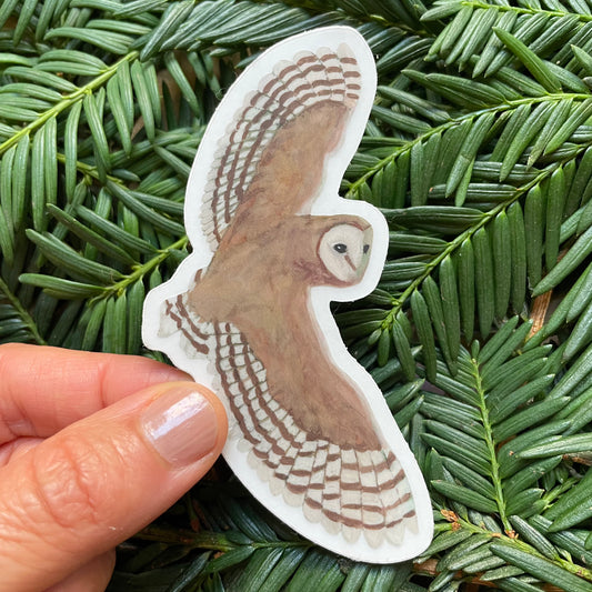 Barn Owl Sticker