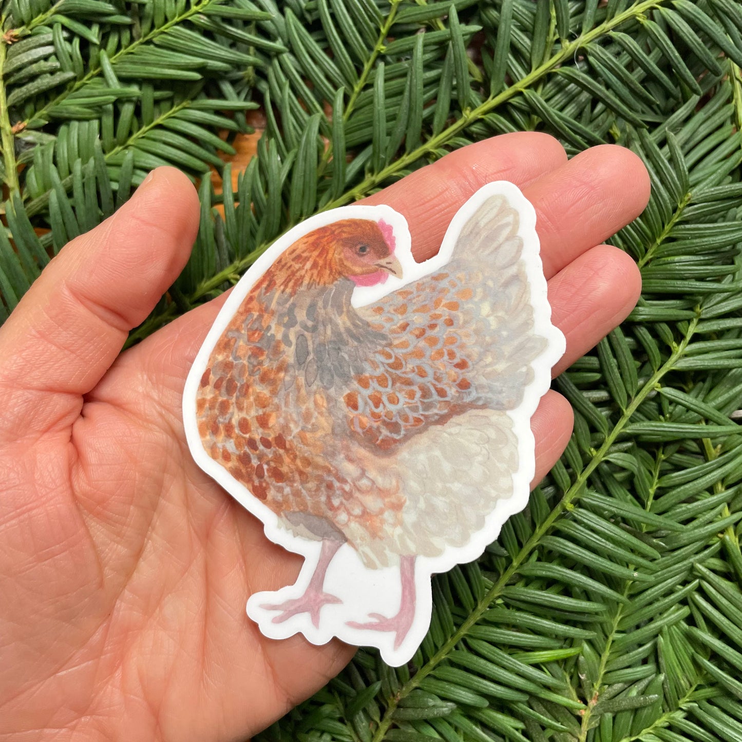 Hen Sticker