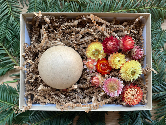 PREORDER • DIY Strawflower Ornament Kit