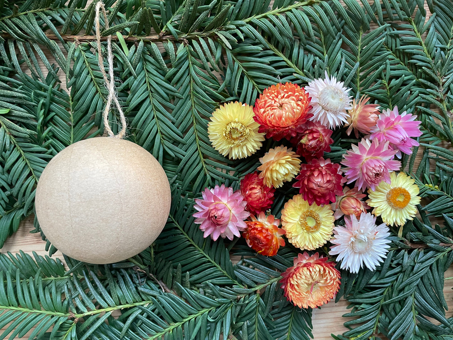 PREORDER • DIY Strawflower Ornament Kit