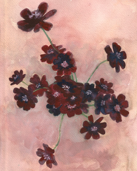 Chocolate Cosmos | Original Painting