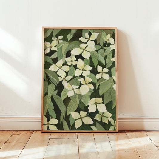 Flowering Dogwood | Archival Print