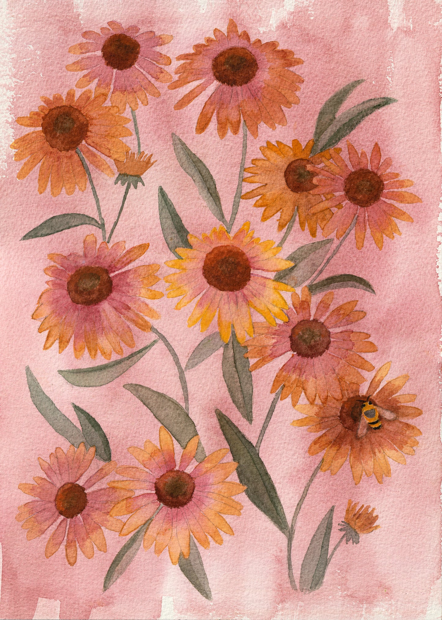 Bee + Echinacea | Original Painting