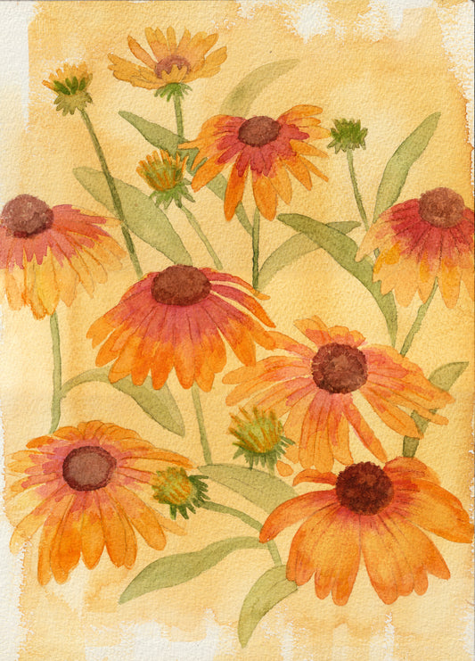 Echinacea (yellow) | Original Painting