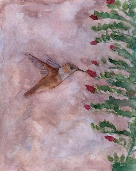 Hummingbird | Original Painting