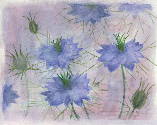 Love-in-a-Mist | Original Painting