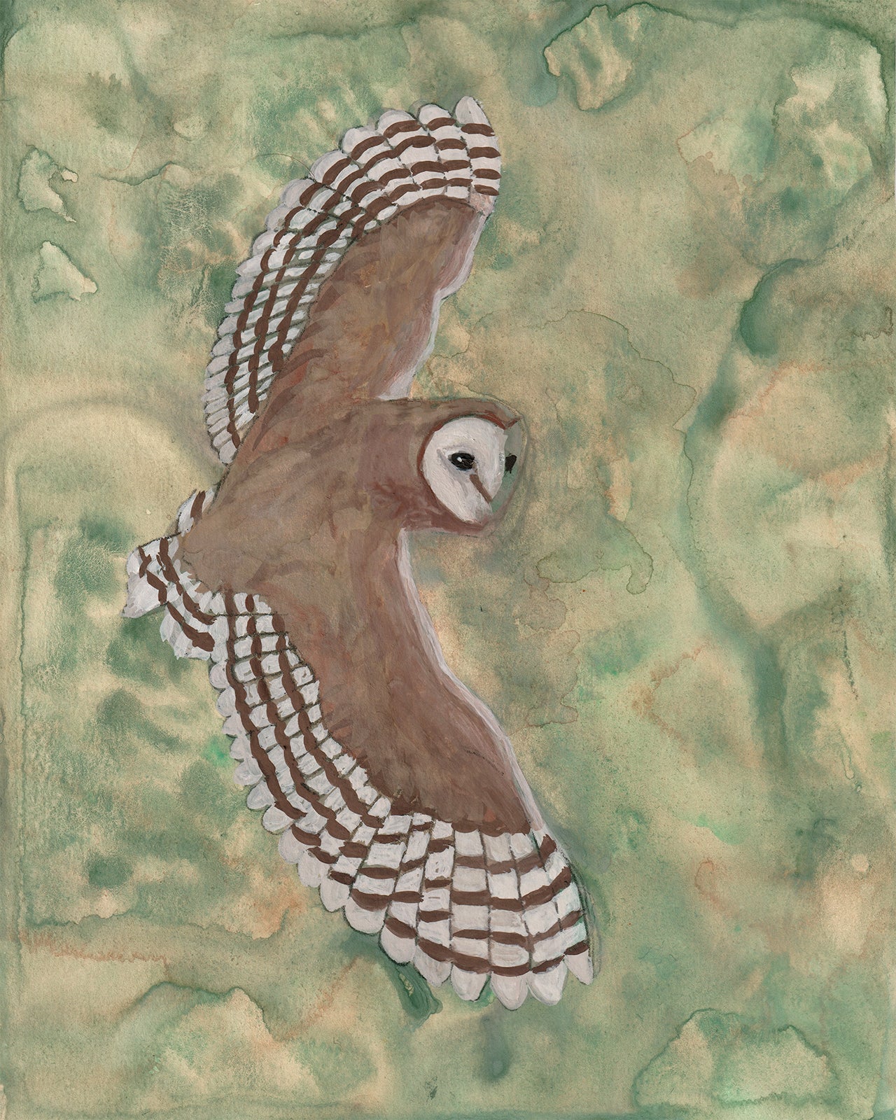 Owl (green) | Archival Print
