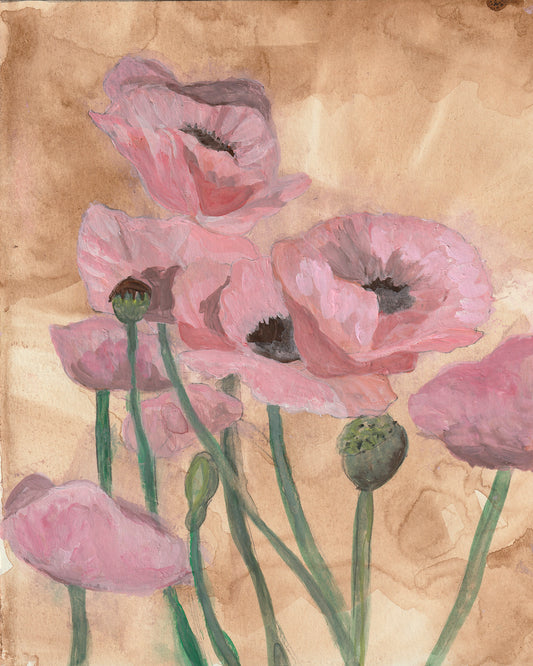 Pink Poppies | Archival Print