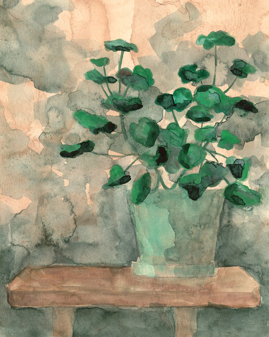 Potted Geraniums | Original Painting