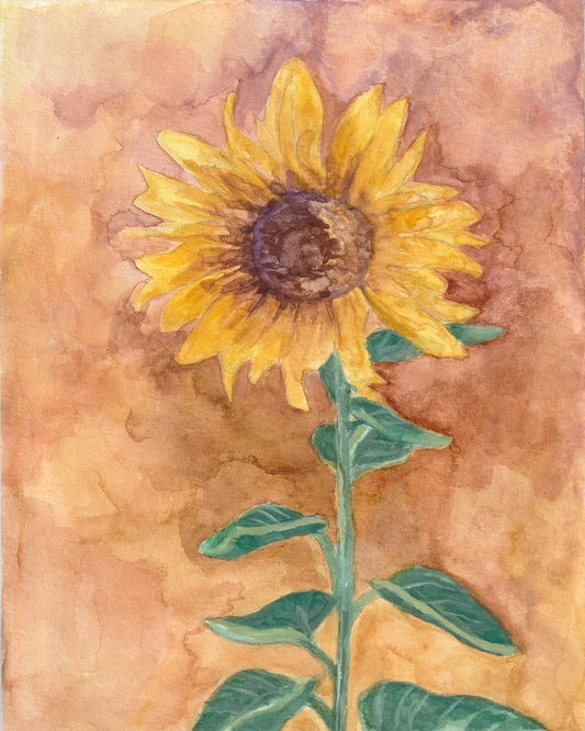 Sunflower (brown) | Original Painting