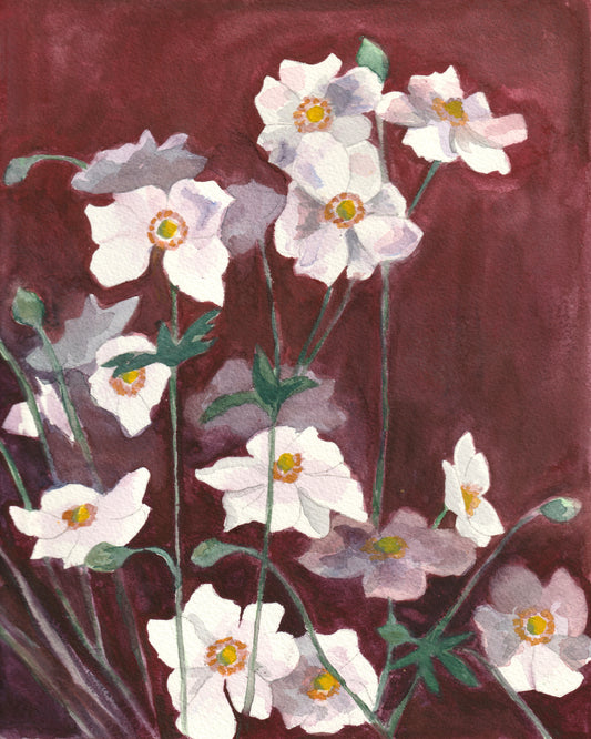 White Cosmos | Archival Print